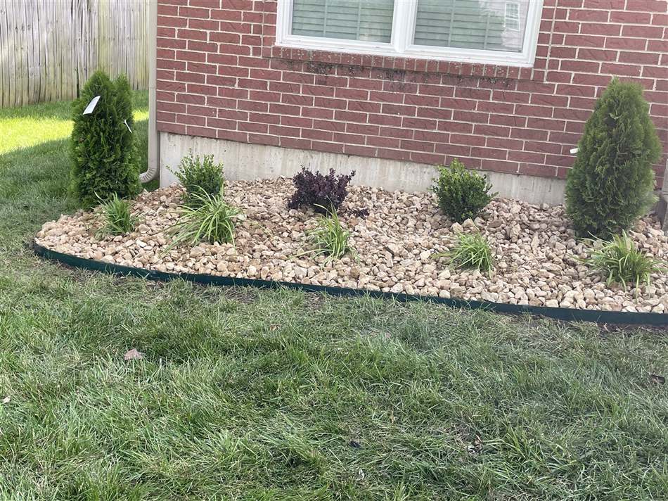 Rock flower bed with fresh plants and clean edging