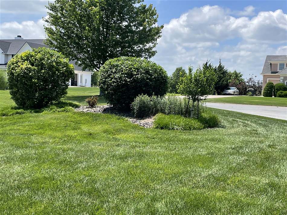 Lawn and planting area with trimmed shrubs and clean rock beds