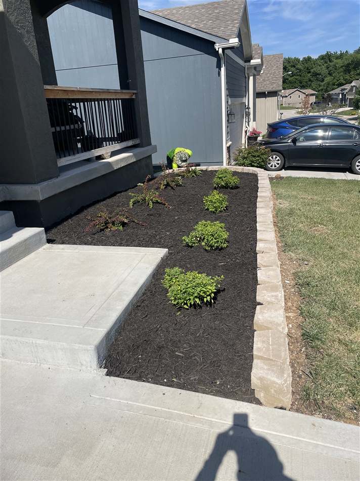 Fresh black mulch install with shaped bed and new plantings